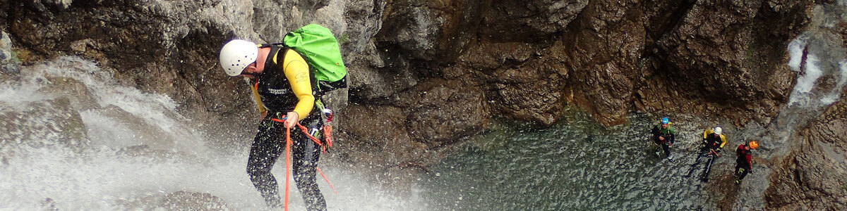 Le royaume des arbres